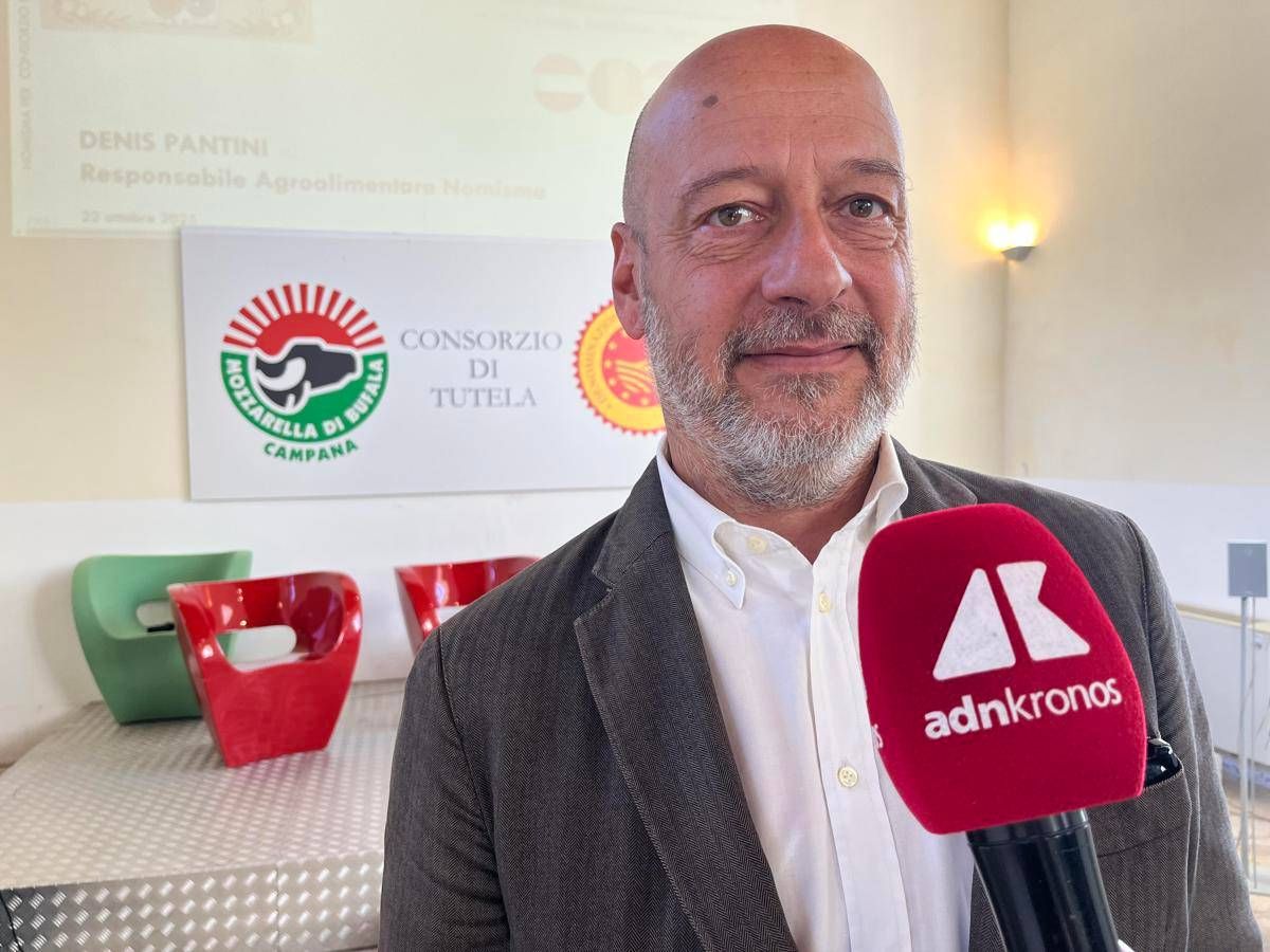 Made in Italy, Saccani (Mozzarella di Bufala Campana Dop): "Innovare per restare tradizione" - 