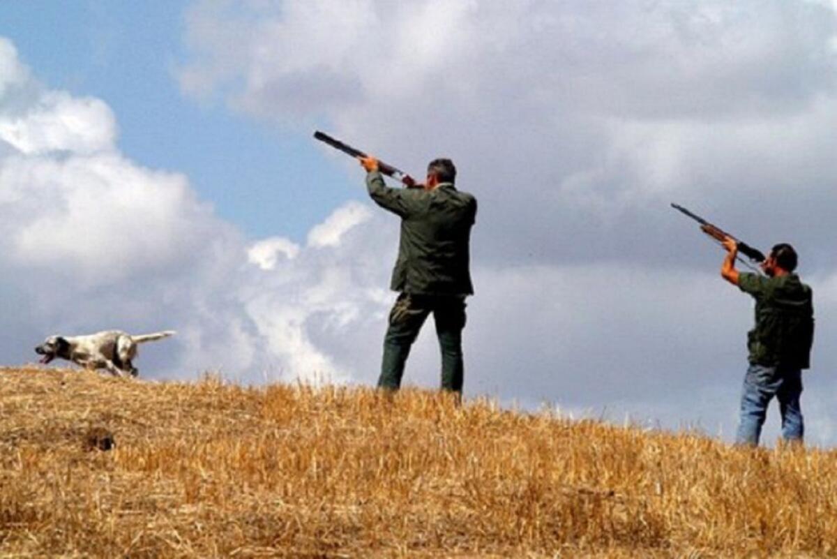 55 associazioni avvertono Mattarella: la riforma della caccia in legge di Bilancio è un attacco alla biodiversità! -