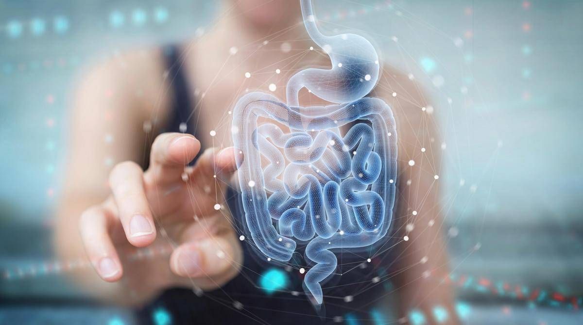 Scoperto perché asma e allergie alimentari cambiano: nascono da microbiota - 