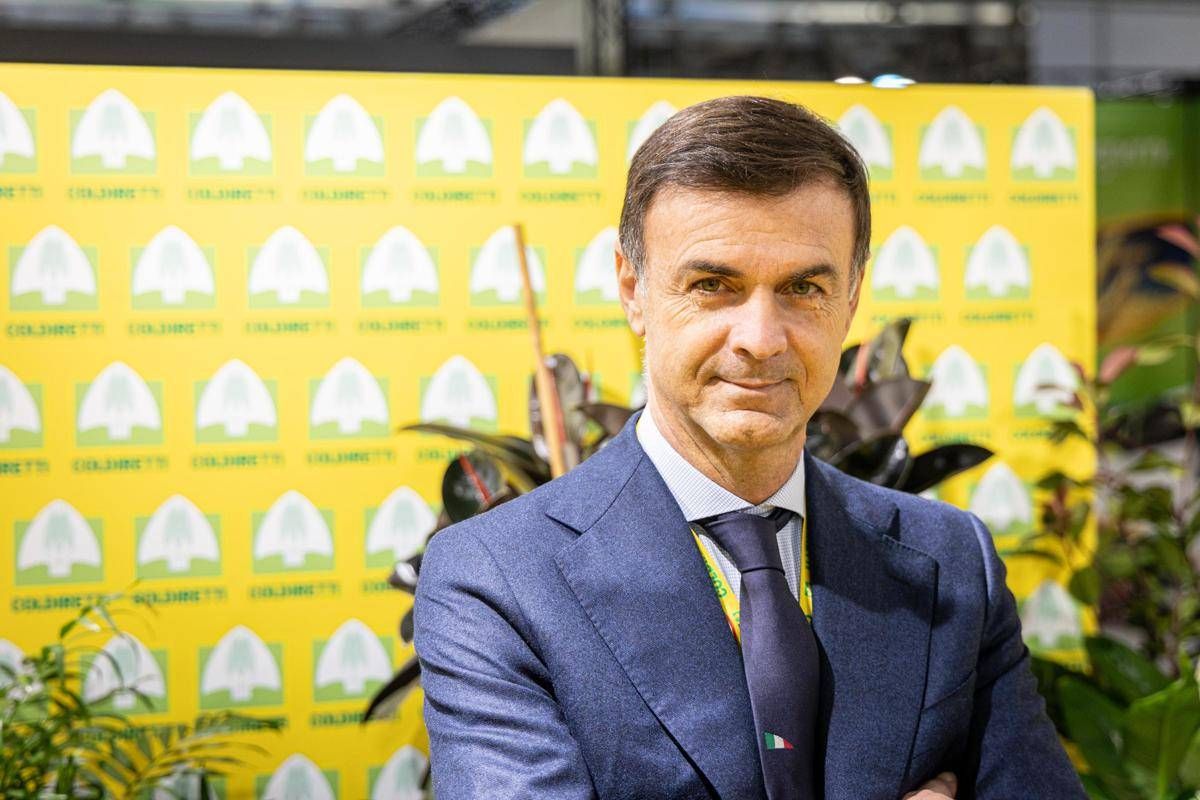 Tabacco, Prandini: "Con contratti filiera garantiamo futuro a nuove generazioni" -