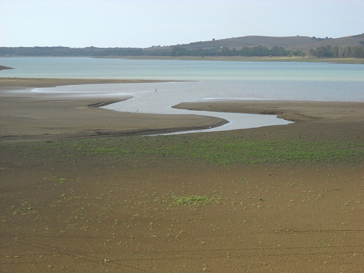 Tra le colline di Partinico a Palermo, dove l’acqua ha cambiato il destino di un’intera valle - Foto: Miceli vincenzo/Wikipedia