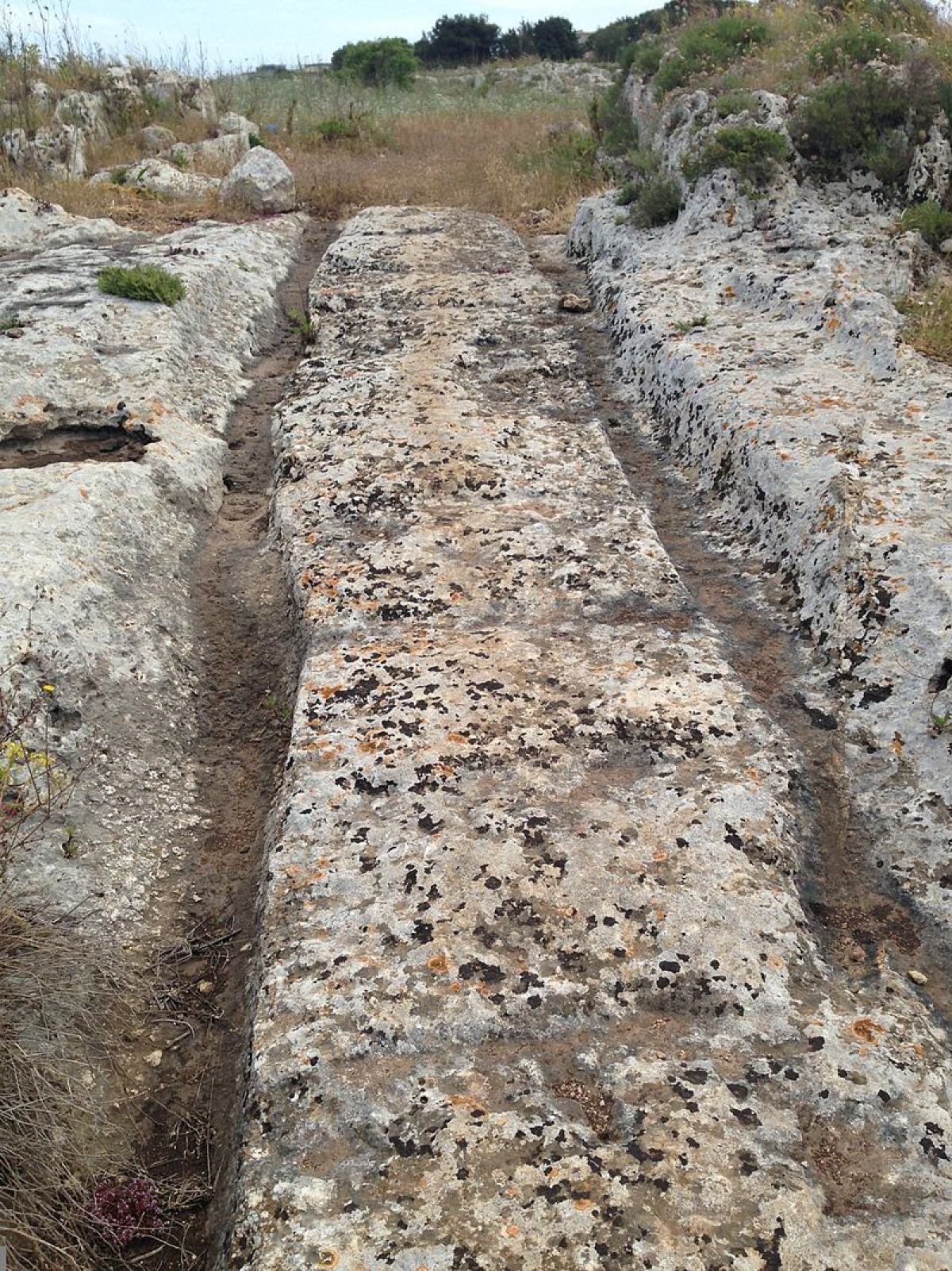 La collina che ha visto nascere Siracusa e ancora custodisce le sue radici - Foto: Codas2/Wikipedia