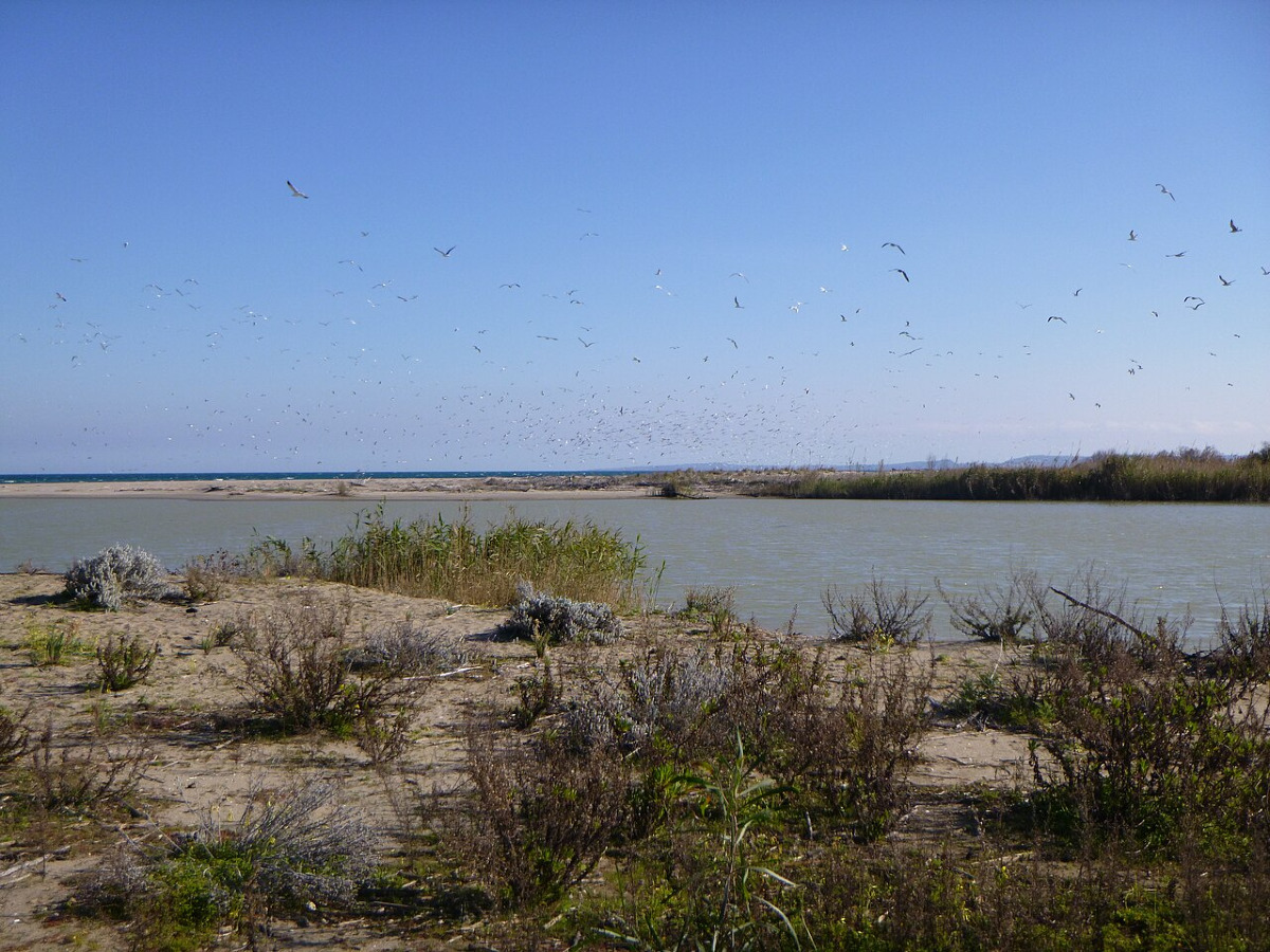 Il segreto che il Simeto custodisce: la meraviglia nascosta di Catania che sorprende da millenni - Foto: SDC20/Wikipedia
