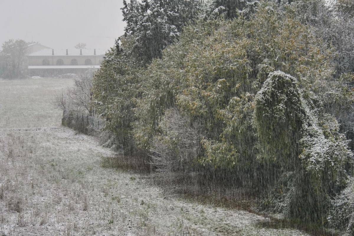 Neve e gelo polare, inverno è in anticipo - 