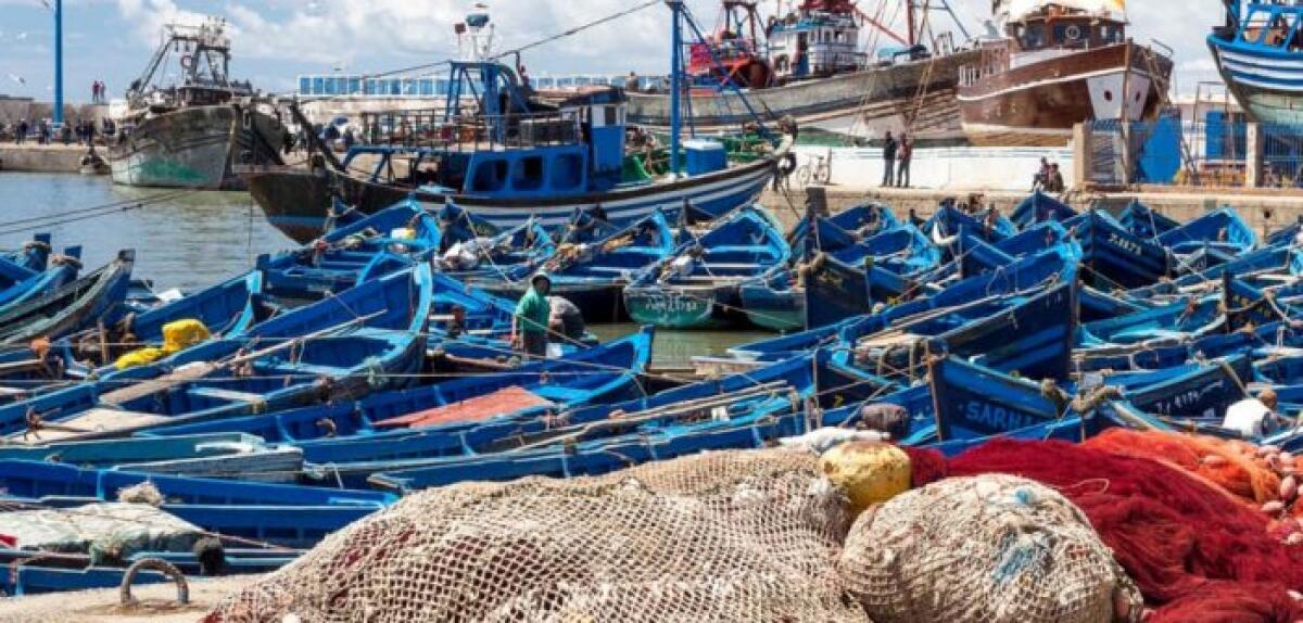 Evento climatico in Sicilia | Aiuti ai pescatori in difficoltà: scopri perché sono così importanti! - 