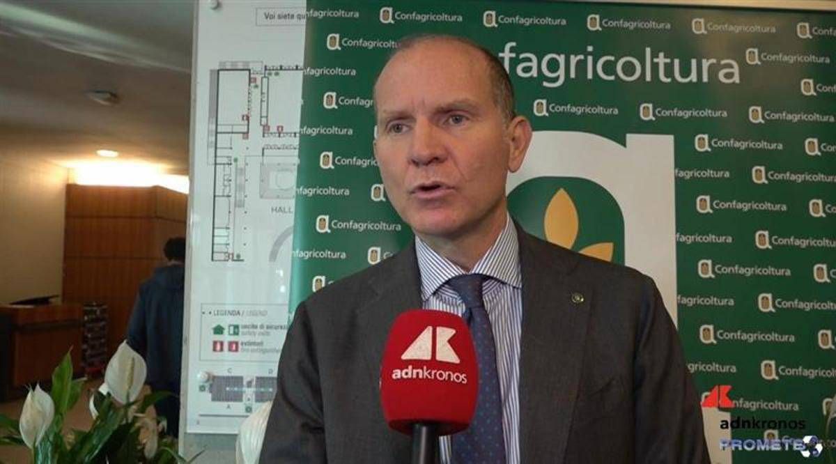 Agricoltura, Giansanti (Confagricoltura): "Servono risorse per continuare a innovare" - 