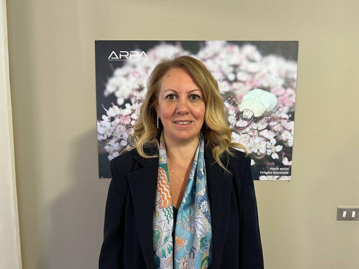 Formiche di fuoco invadono la Sicilia | Scopri perché la Regione Siciliana ha lanciato un'app per la tua sicurezza! - 