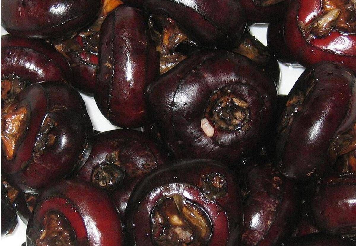 Castagne d’acqua, lo snack che protegge fegato e cervello: cosa sono e come si mangiano - 