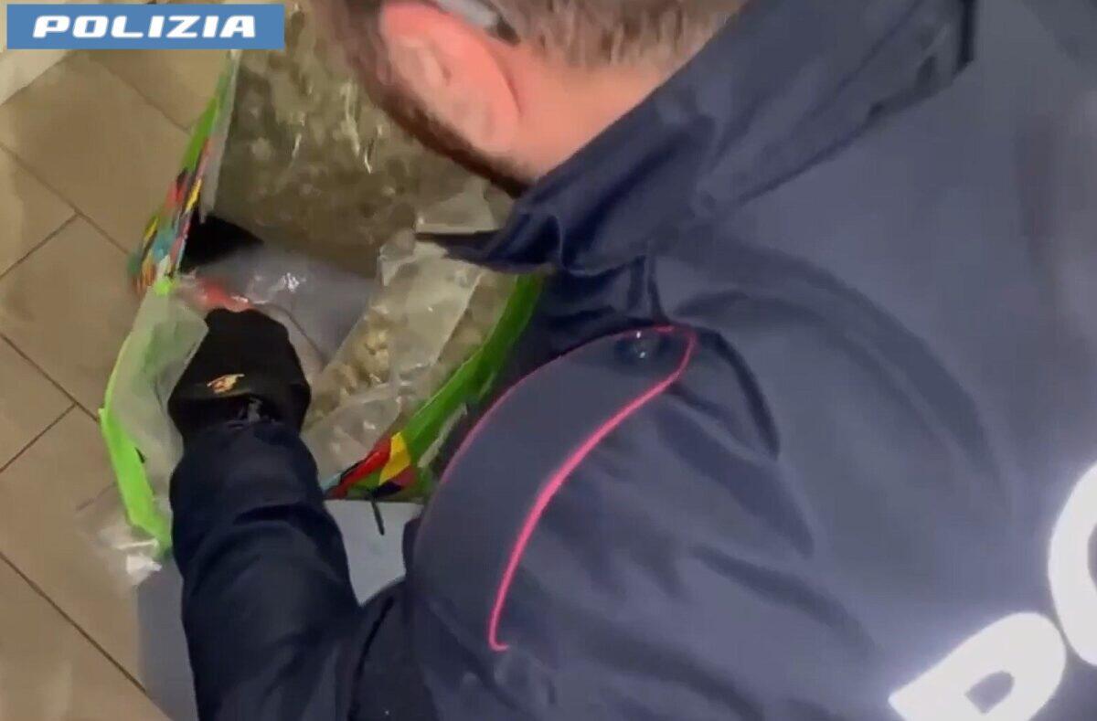 Catania: l'ultima scoperta dei cani poliziotto | La verità sorprendente sulla vita di un giovane del quartiere San Cristoforo! - 