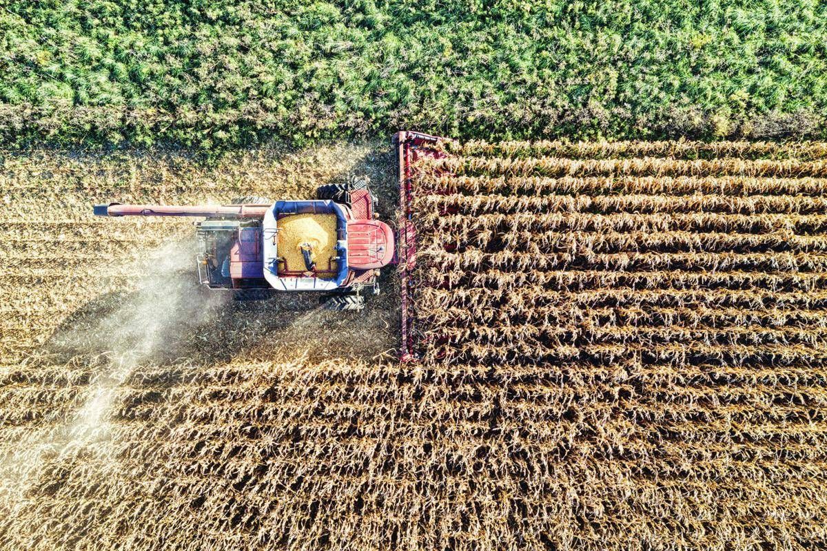 Osservatorio Agrofarma: "Italia modello di eccellenza per uso agrofarmaci" - 