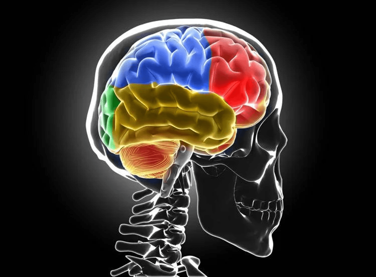 Sclerosi multipla, Bandiera (Aism): "Caregiver fondamentali ma ancora invisibili" - 