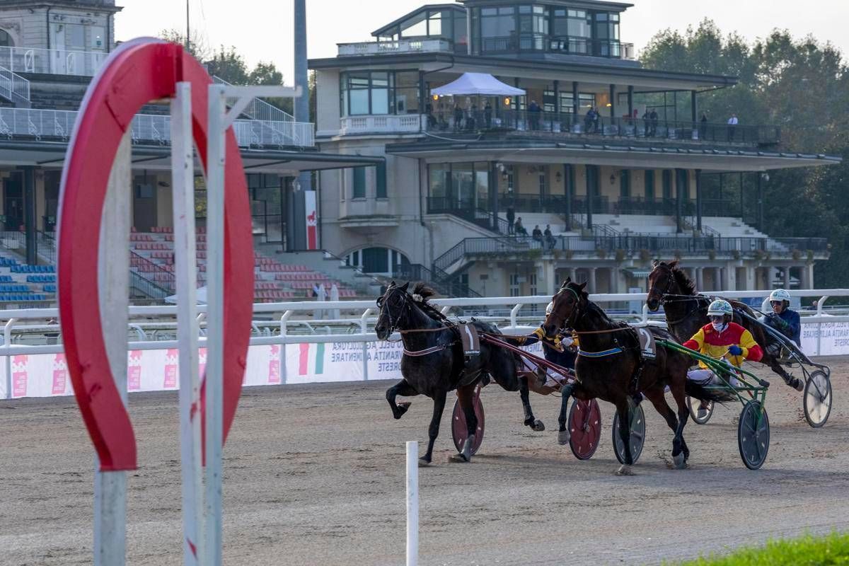 Ippica, Stoppini (Snai): "L''Orsi Mangelli' torna a Milano, a San Siro il grande trotto" -