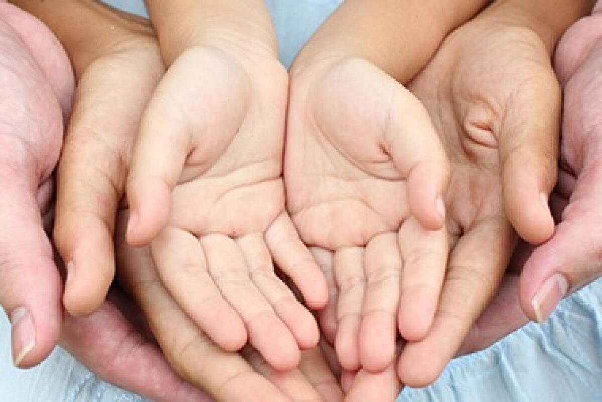 Comune di Palermo: disponibile il contributo economico per minori in affido dal 1° dicembre 2025 al 31 gennaio 2026 - 