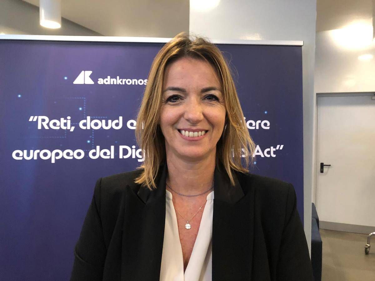 Digitale, Pizzi (Anitec-Assinform): "Dna semplifichi norme e non le appesantisca" - 
