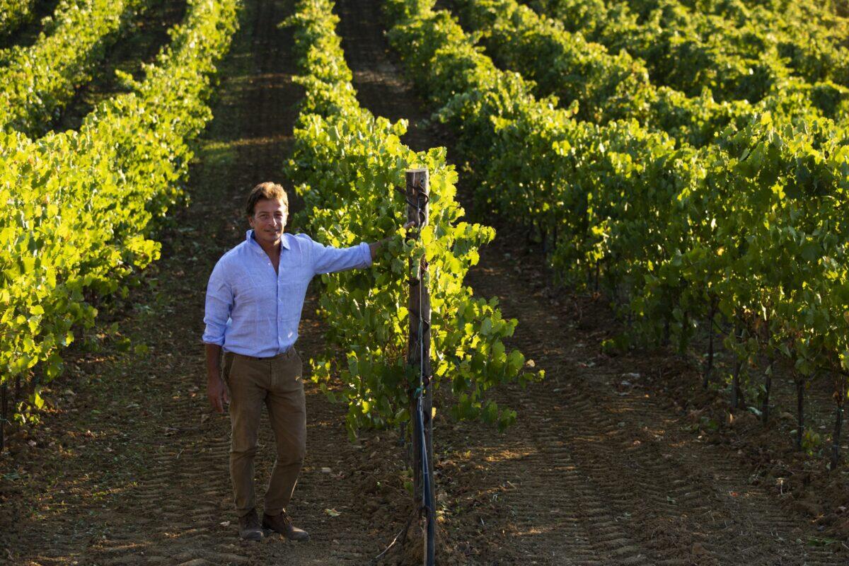 Sicilia in prima linea per la sostenibilità | Perché il futuro della viticoltura è più luminoso di quanto pensi! - 