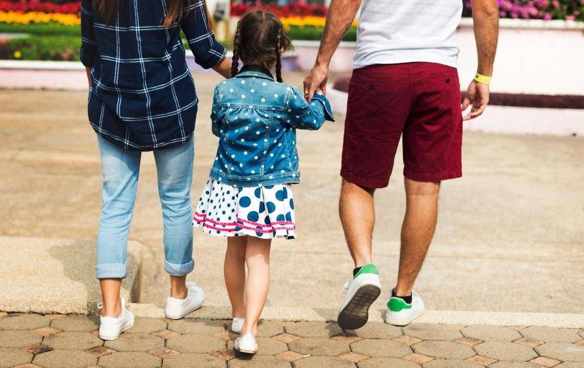 Manovra, Istat: "Taglio Irpef per 14 milioni di contribuenti, beneficio medio 230 euro anno" - 