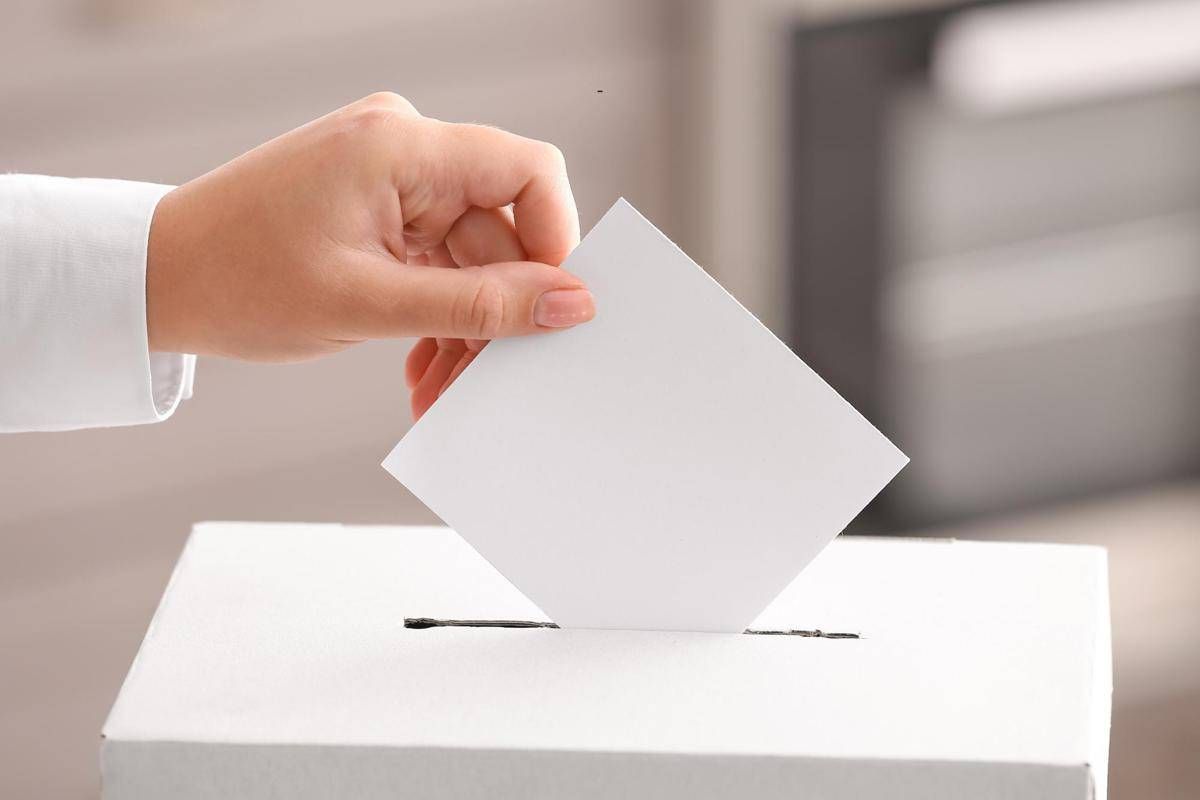 Referendum Cittadinanza: Comitato promotore vs commissione Vigilanza Rai, udienza pubblica in Consulta - 