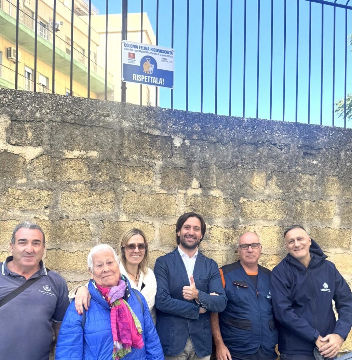 Palermo ripristina la tabella dei gatti | Un gesto simbolico o un vero cambiamento nella tutela degli animali? - 