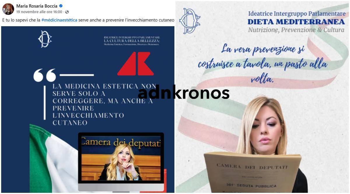 Maria Rosaria Boccia ci ricasca: usa il logo della Camera per promuovere diete e ritocchini - 