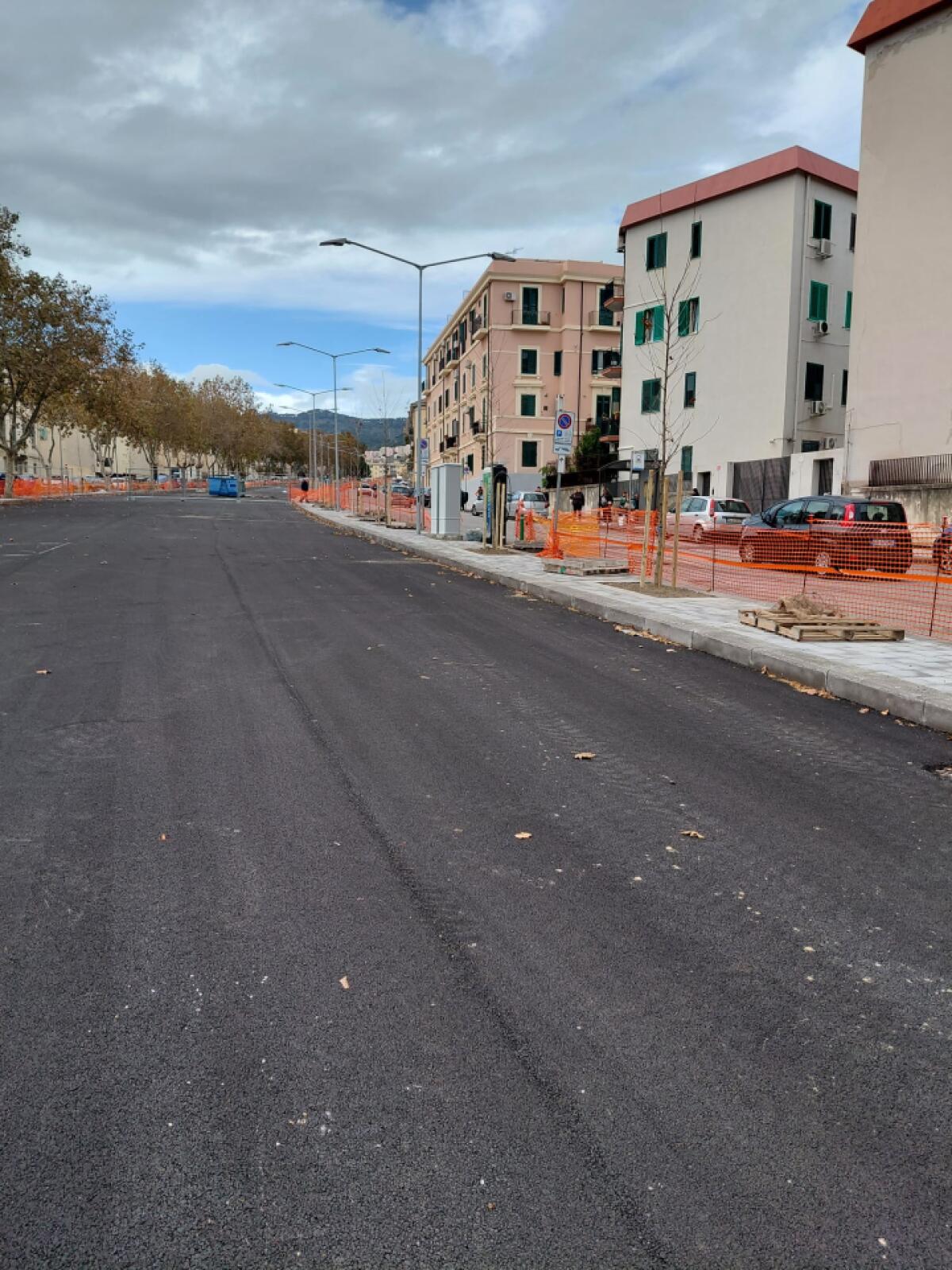 Nuovi platani in Viale Giostra | Perché il Comune di Messina ha deciso di abbattere gli alberi storici? - 