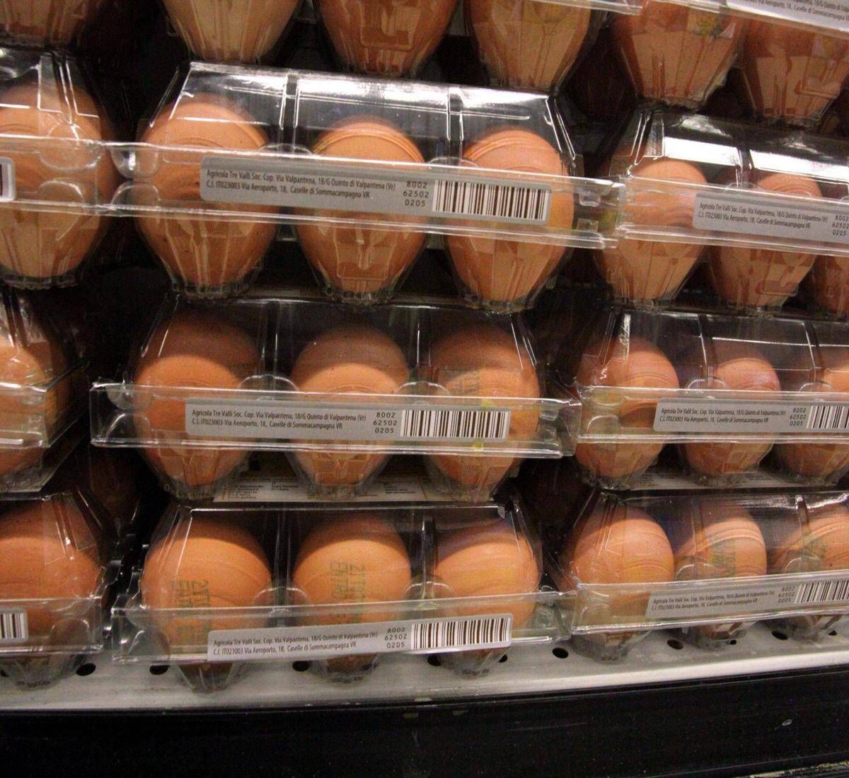 Quanti errori in cucina, dal frigo all'igiene: il decalogo dell'Iss per pasti sicuri - 