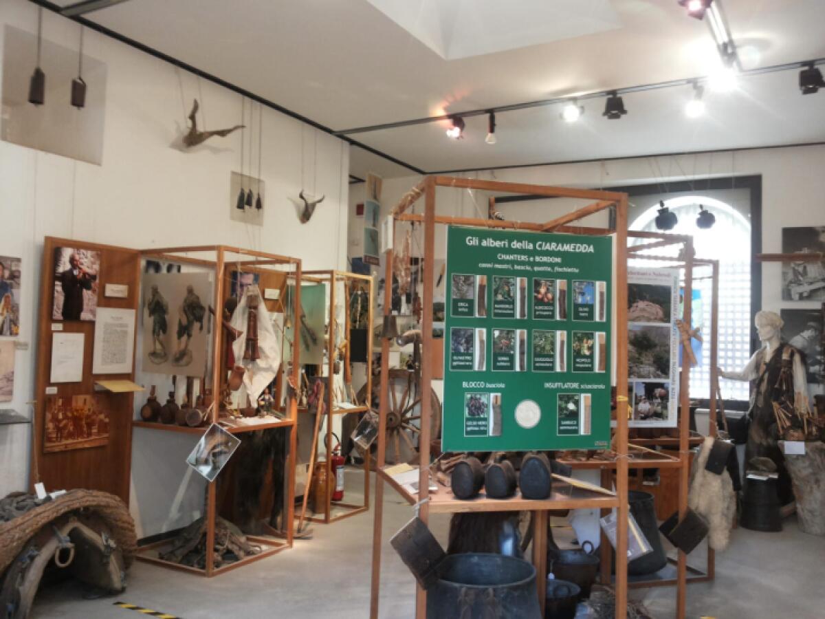 Un catalogo unico per le biblioteche del Comune di Messina | Scopri perché potrebbe cambiare il futuro della cultura locale! - 