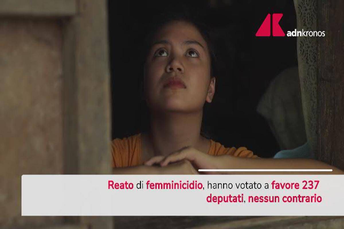 Reato di femminicidio, la Camera vota all'unanimità: è legge - 