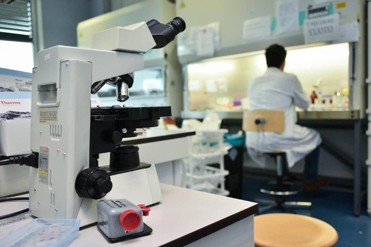 Alzheimer, ecco le cellule che possono 'pulire' il cervello: lo studio - 