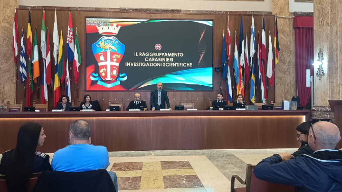 Corsi di Formazione al Comune di Messina | Gli studenti scoprono un mondo insospettabile! - 