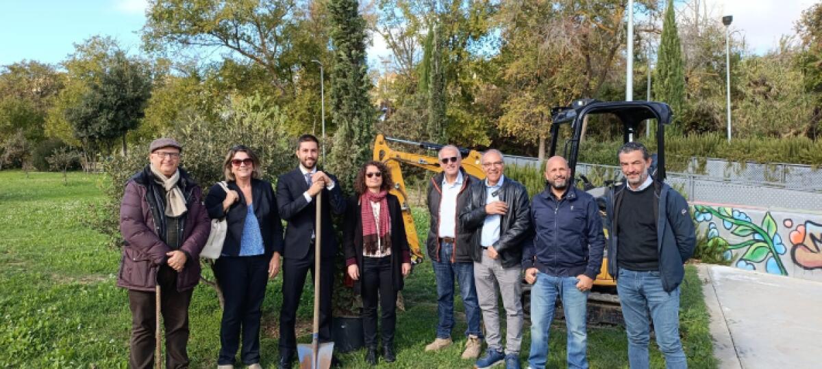 Caltanissetta pianta quattro cipressi | Scopri come un albero rimosso ha dato vita a un'iniziativa eccezionale! - 