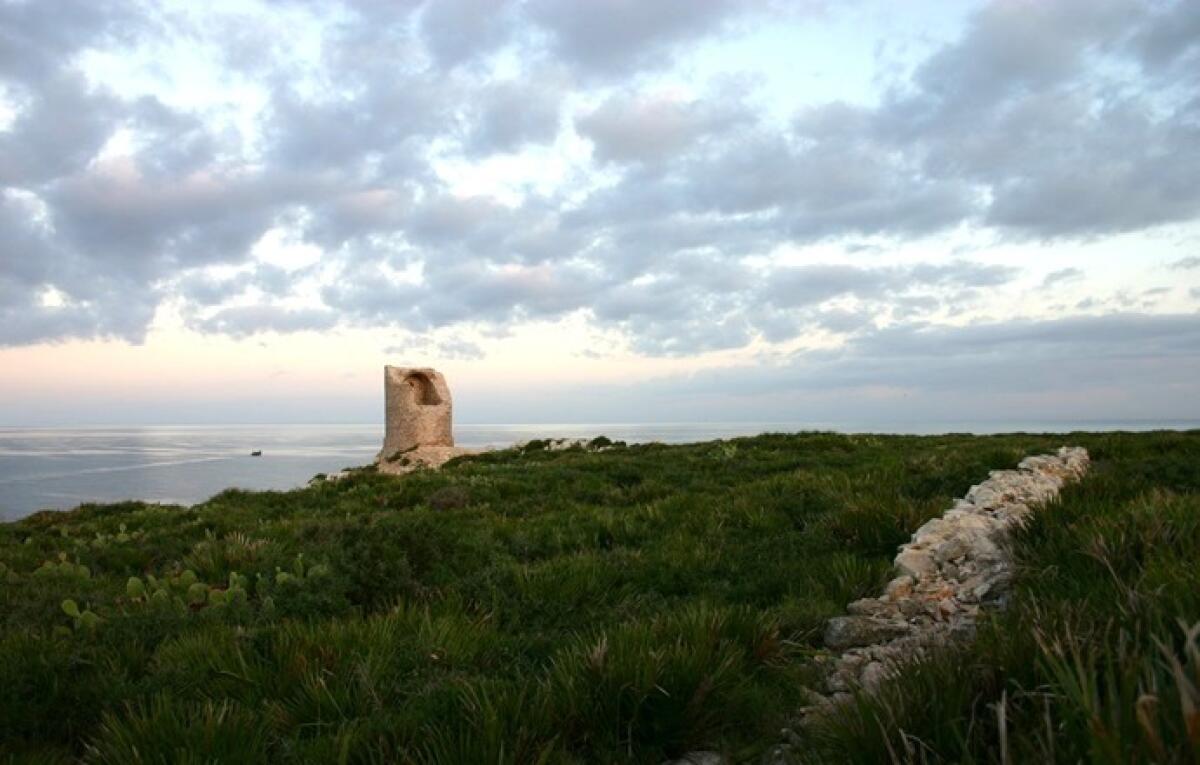 13,3 milioni per salvare la natura | La Regione Siciliana finalmente si risveglia? - 