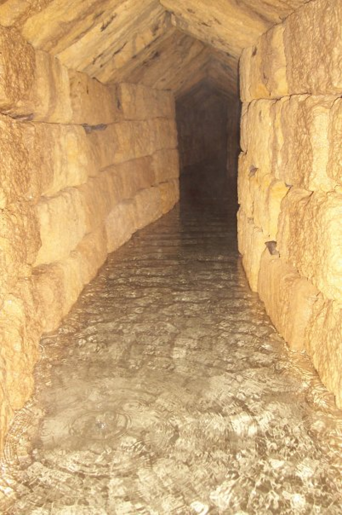 Le sorprendenti gallerie segrete di Palermo che nascondono una curiosità incredibile - Foto: Archipenzolo/Wikipedia