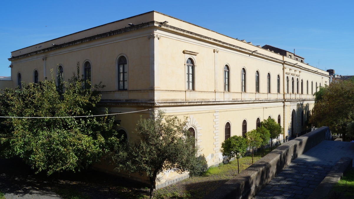 Il museo dell'Università di Catania che custodisce tesori sepolti da millenni - Foto: Nicolò Arena/Wikipedia