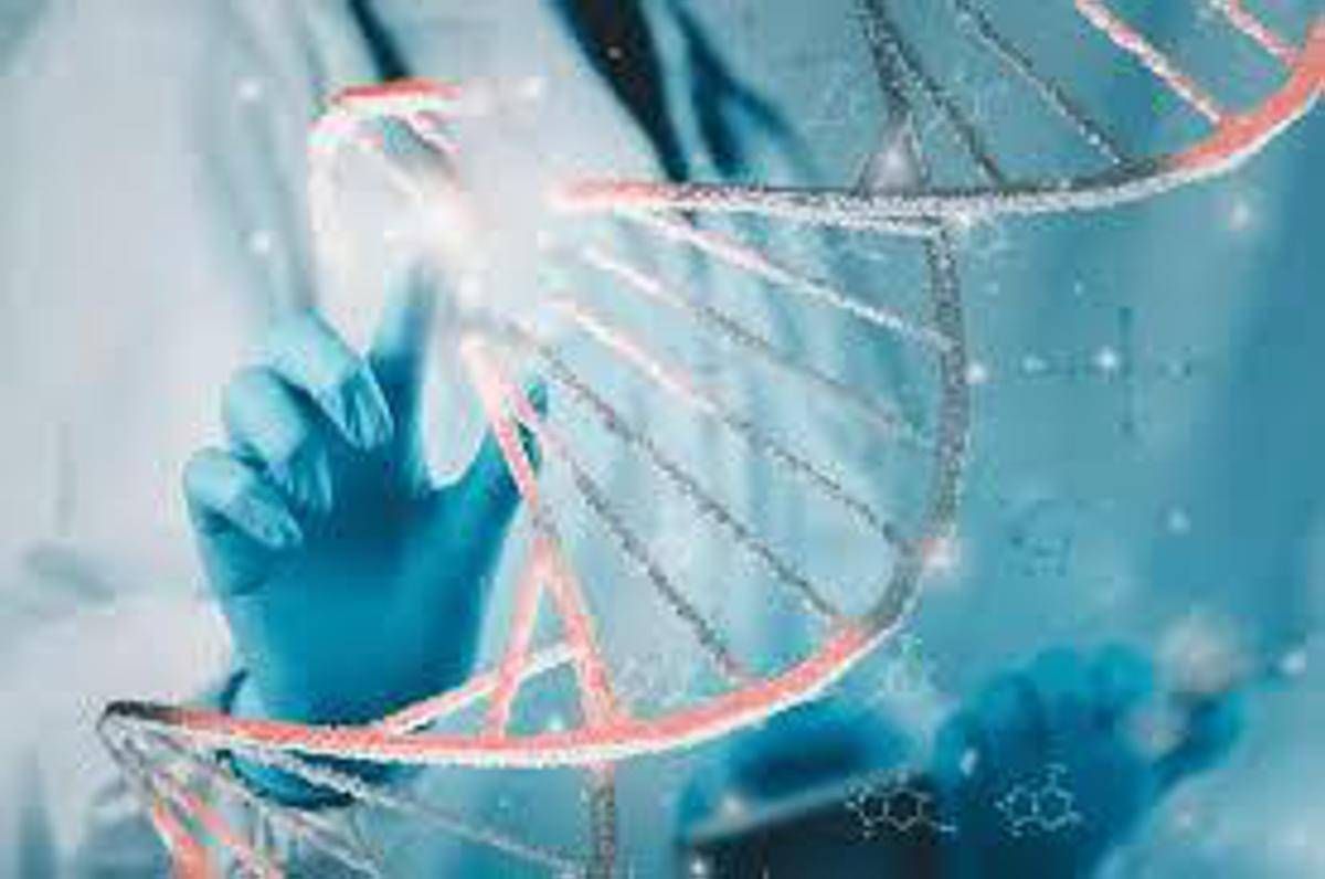 Malattie rare, dal Lazio un modello per continuità cure dall'età pediatrica all'età adulta - 