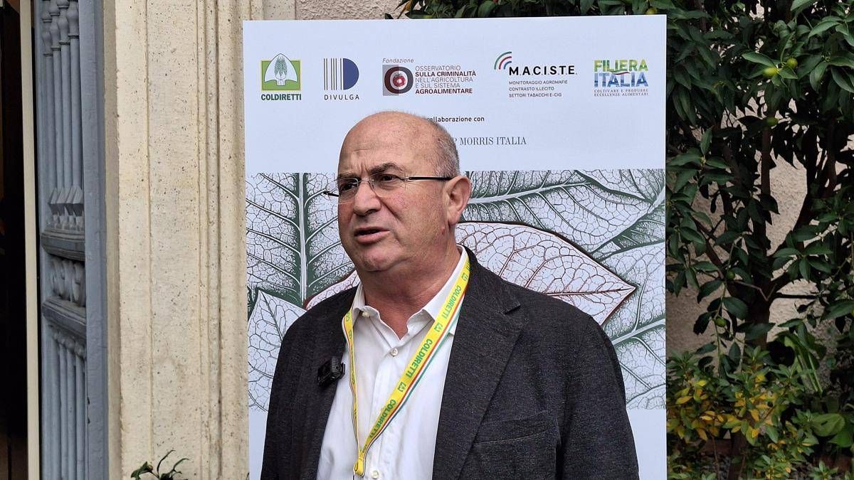 Tabacco, Trippella (Filiera tabacchicola italiana): "Rischio di arretrare con politiche europee" - 