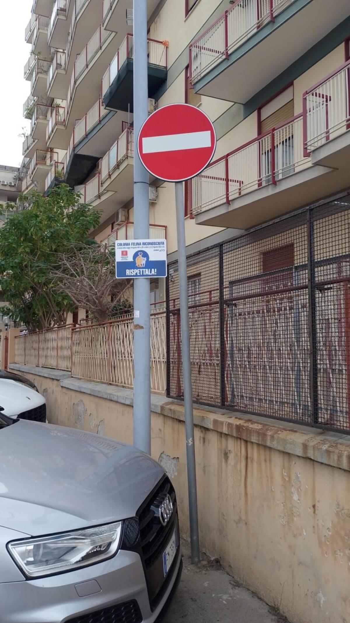 Colonie feline nel Comune di Palermo: nuove tabelle informative sui sostegni della pubblica illuminazione - 