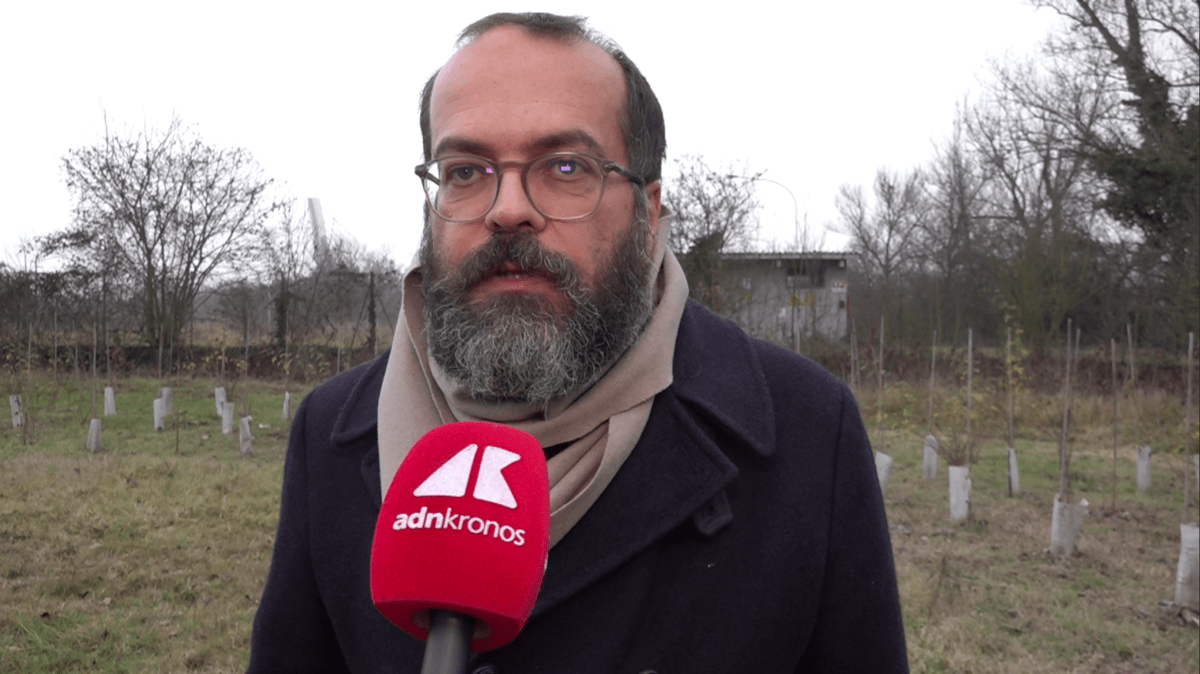 KilometroVerdeParma, più alberi diffusi in città per combattere caldo e cemento - 