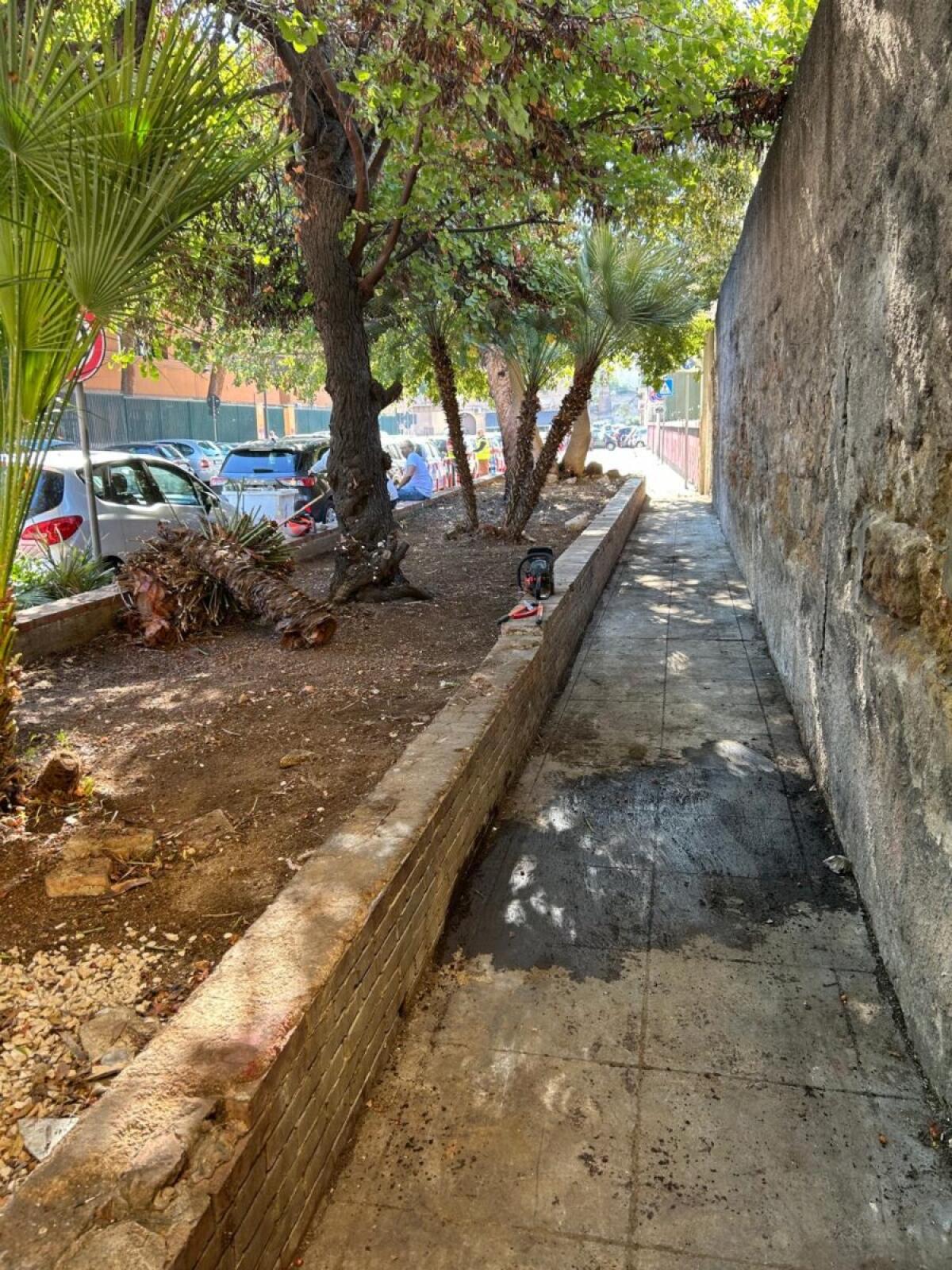 Riapertura e riqualificazione del verde pubblico a via Pier delle Vigne: l'impegno del Comune di Palermo per la collaborazione tra pubblico e privato. - 