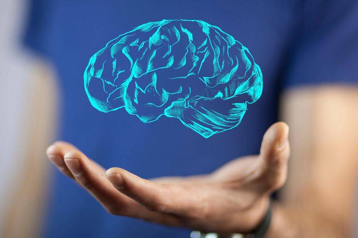 Il cervello cresce e invecchia, i 4 compleanni importanti per la mente: lo studio - 