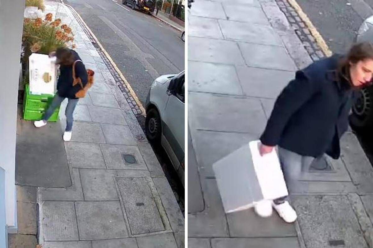 Londra, mistero della 'ladra di langoustine': rubati crostacei, manzo e orchidee rare - 