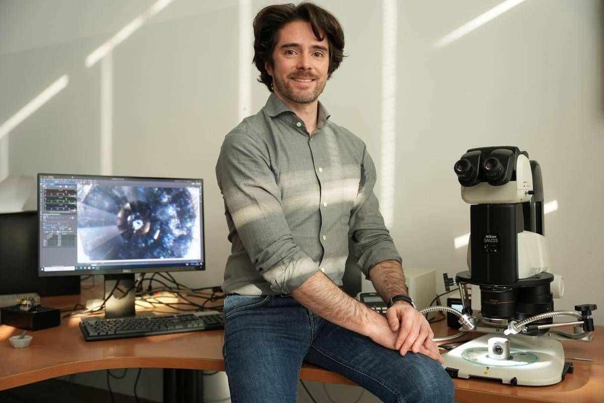 Milano-Bicocca, Erc Consolidator Grant da 3 mln per studiare ruolo zolfo in evoluzione Terra - 