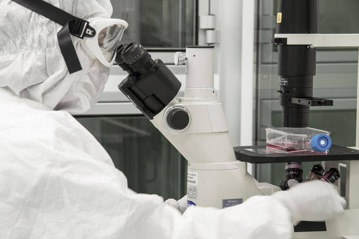 Donatore di sperma aveva mutazione genetica, 197 bambini a rischio cancro: il caso - 