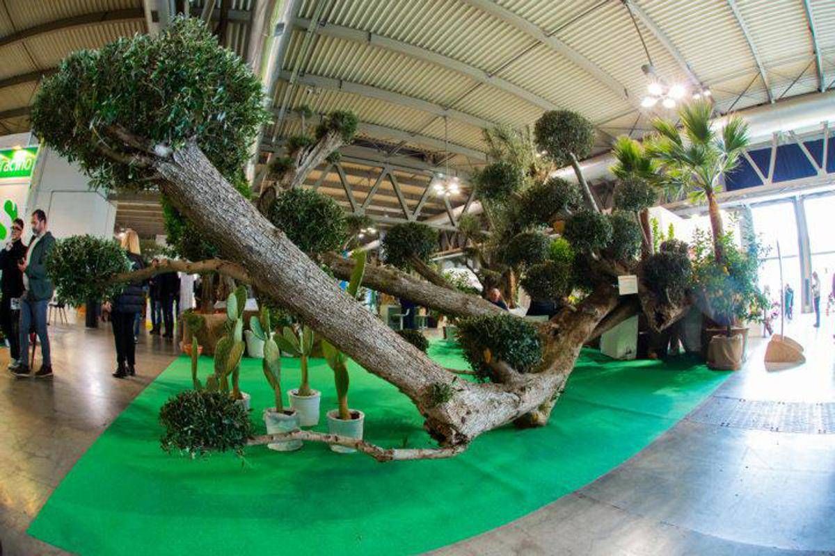 Myplant&Garden, X edizione dal 18 al 20 febbraio 2026 a Fiera Milano Rho - 
