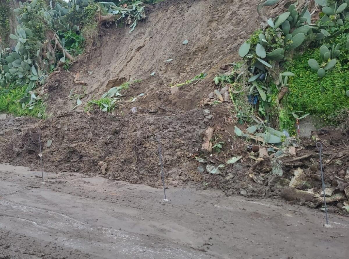 Messa in sicurezza dei versanti: il Comune di Messina avvia lavori da 500.000 euro dopo gli incendi del 2023 - 