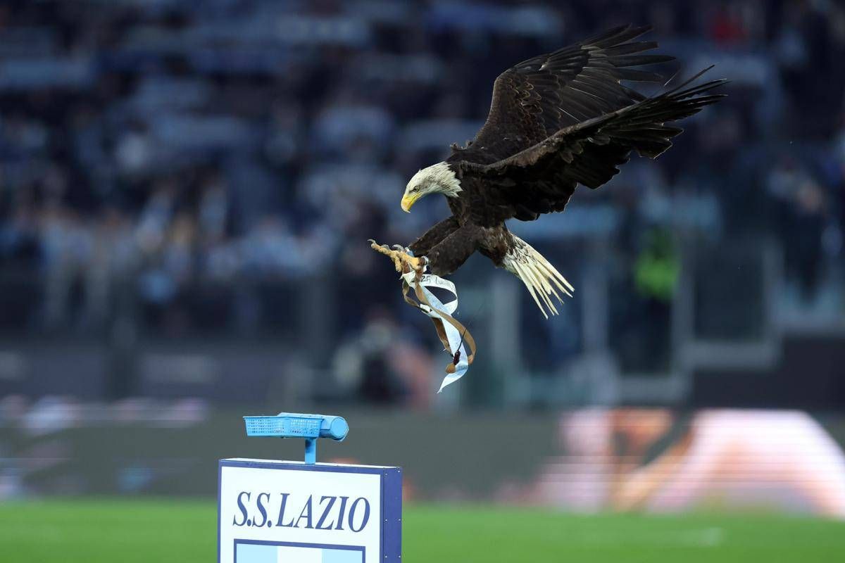 Lazio, debutta all'Olimpico la nuova aquila: primo volo per Flaminia - 