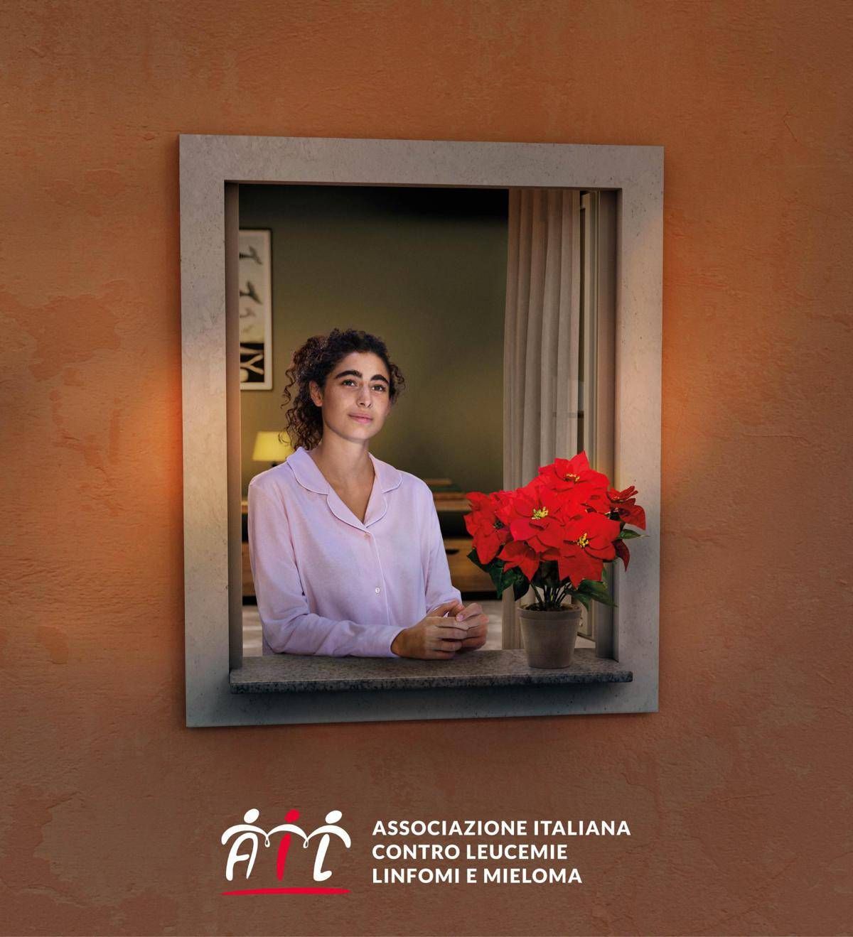 Lotta alle leucemie, tornano le stelle di Natale Ail per la ricerca - 