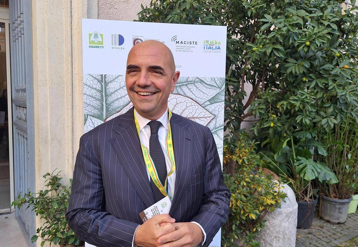 Tabacco, Scordamaglia (Filiera Italia): "Ue interviene alla cieca con misure fallimentari" - 