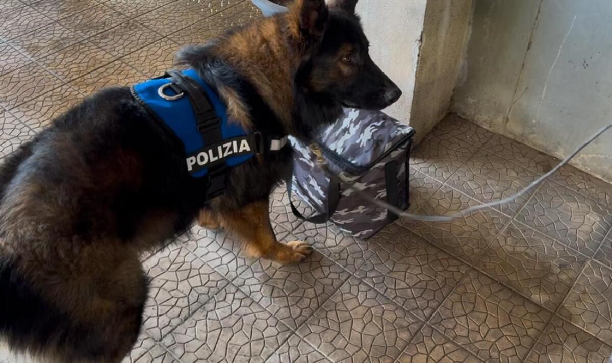Polizia di Catania smantella una casa di spaccio: arrestato 55enne con coca e telecamere di sorveglianza - 