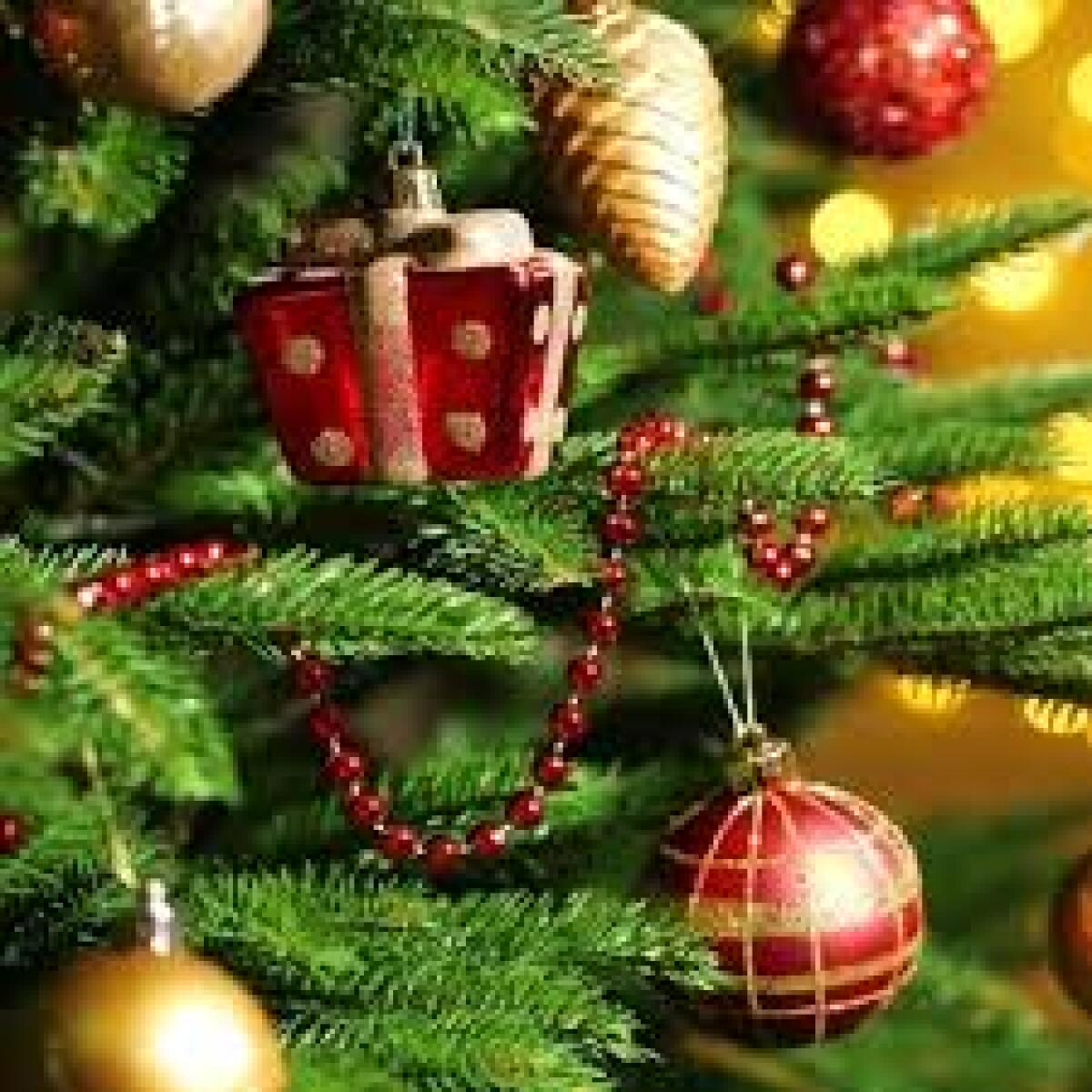 Comune di Palermo: finanziati 67 progetti per un Natale inclusivo dedicati a bambini e ragazzi - 