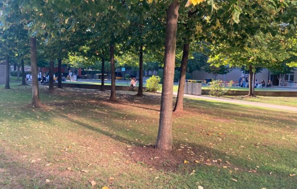 Regione Siciliana: 3,5 milioni di euro per la rigenerazione del verde urbano - 